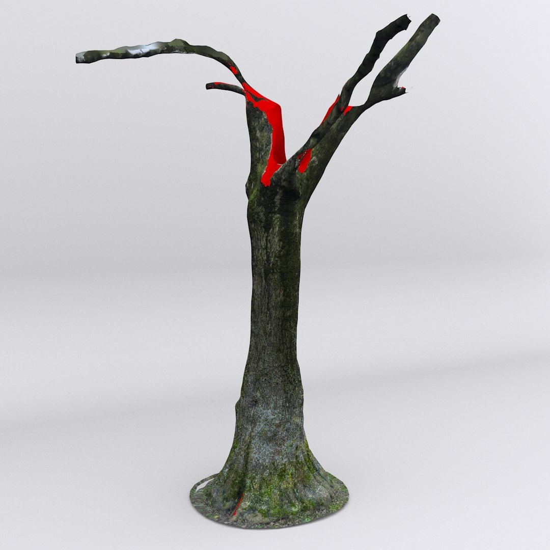 Free Dbuzzi Scan Tree Trunk 3d Model