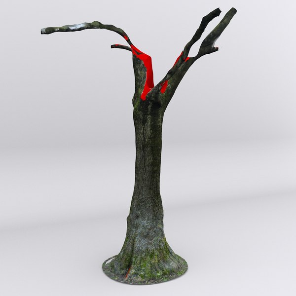 free dbuzzi scan tree trunk 3d model