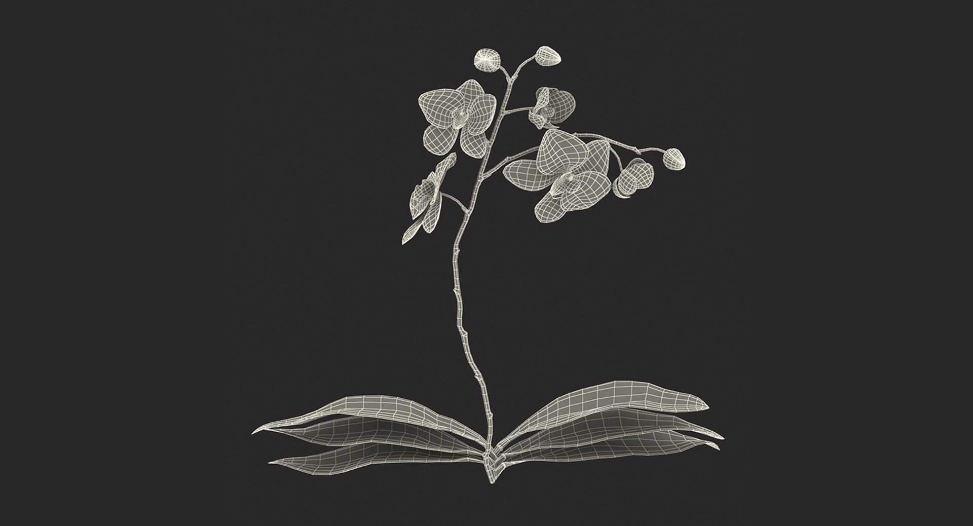 3D flowers 6 model https://p.turbosquid.com/ts-thumb/L8/5bHoGk/XrvSMIfU/flowerscollection6vray3dmodel034/jpg/1527347161/1920x1080/fit_q87/2769149c750c8099d1ada239af4563b1800399c9/flowerscollection6vray3dmodel034.jpg