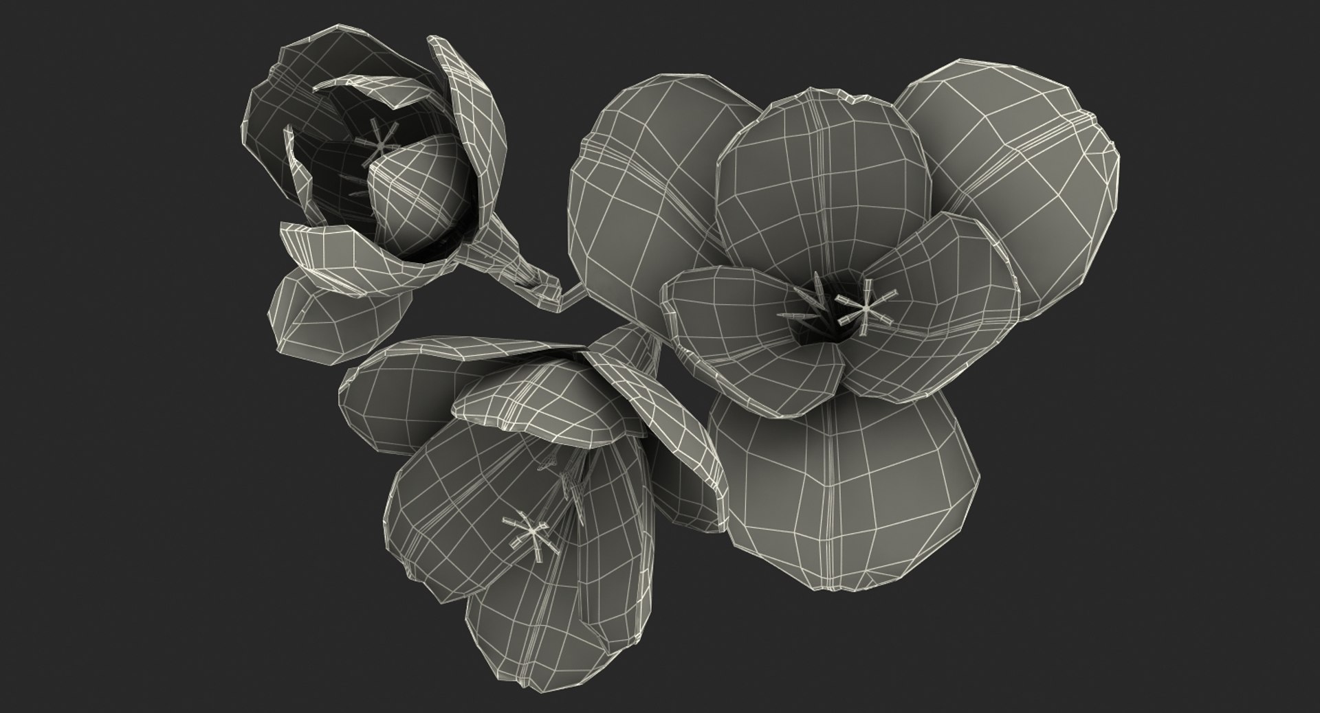 3D flowers 6 model https://p.turbosquid.com/ts-thumb/L8/5bHoGk/ZK2oSBuj/flowerscollection6vray3dmodel032/jpg/1527347155/1920x1080/fit_q87/aeef8eea38289ca51fe8267f53f13e2ac5340d68/flowerscollection6vray3dmodel032.jpg