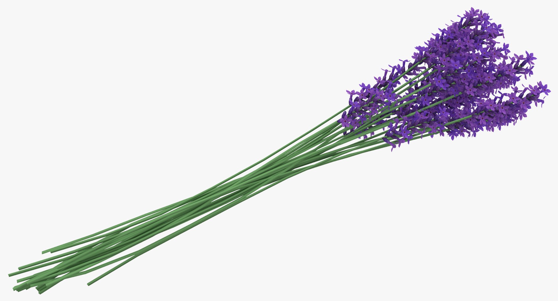 3D flowers 6 model https://p.turbosquid.com/ts-thumb/L8/5bHoGk/mvVn7869/flowerscollection6vray3dmodel019/jpg/1527347111/1920x1080/fit_q87/57973914a9d68295d13d931c7a193673334f3506/flowerscollection6vray3dmodel019.jpg