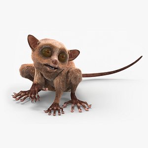 Tarsier Fur for Maya Rigged 3D model