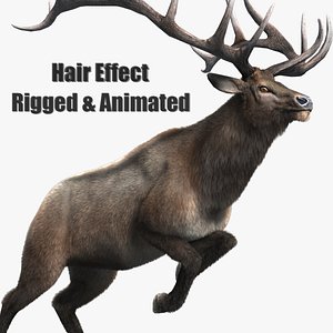 3D animated stag deer elaphurus model