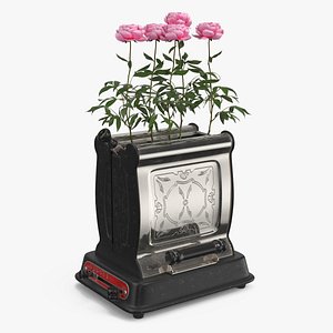 3D model Vintage Toaster Planter with Pink Flowers