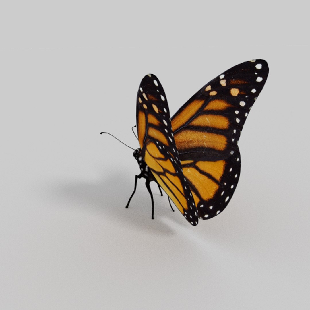3d Model Insect Pack 1