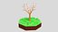 3D almond tree model