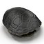 Turtle Shell 2