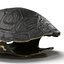 Turtle Shell 2