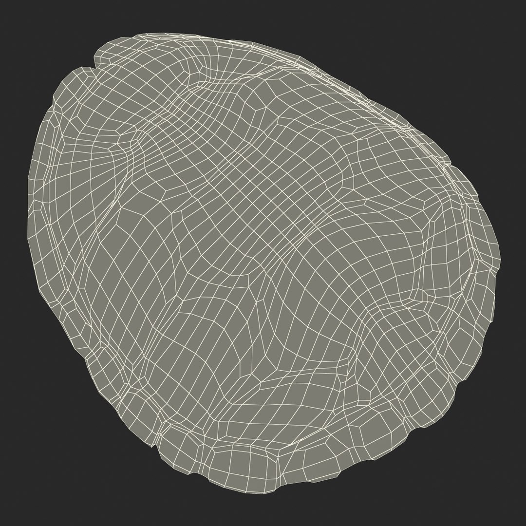 turtle shell 2 c4d https://p.turbosquid.com/ts-thumb/L8/fq1yWD/8gmwaL1u/turtleshell3dmodel23/jpg/1458994209/1920x1080/fit_q87/efcd7b8e61ccfac5a31a4fcd3b8e368758bf2973/turtleshell3dmodel23.jpg