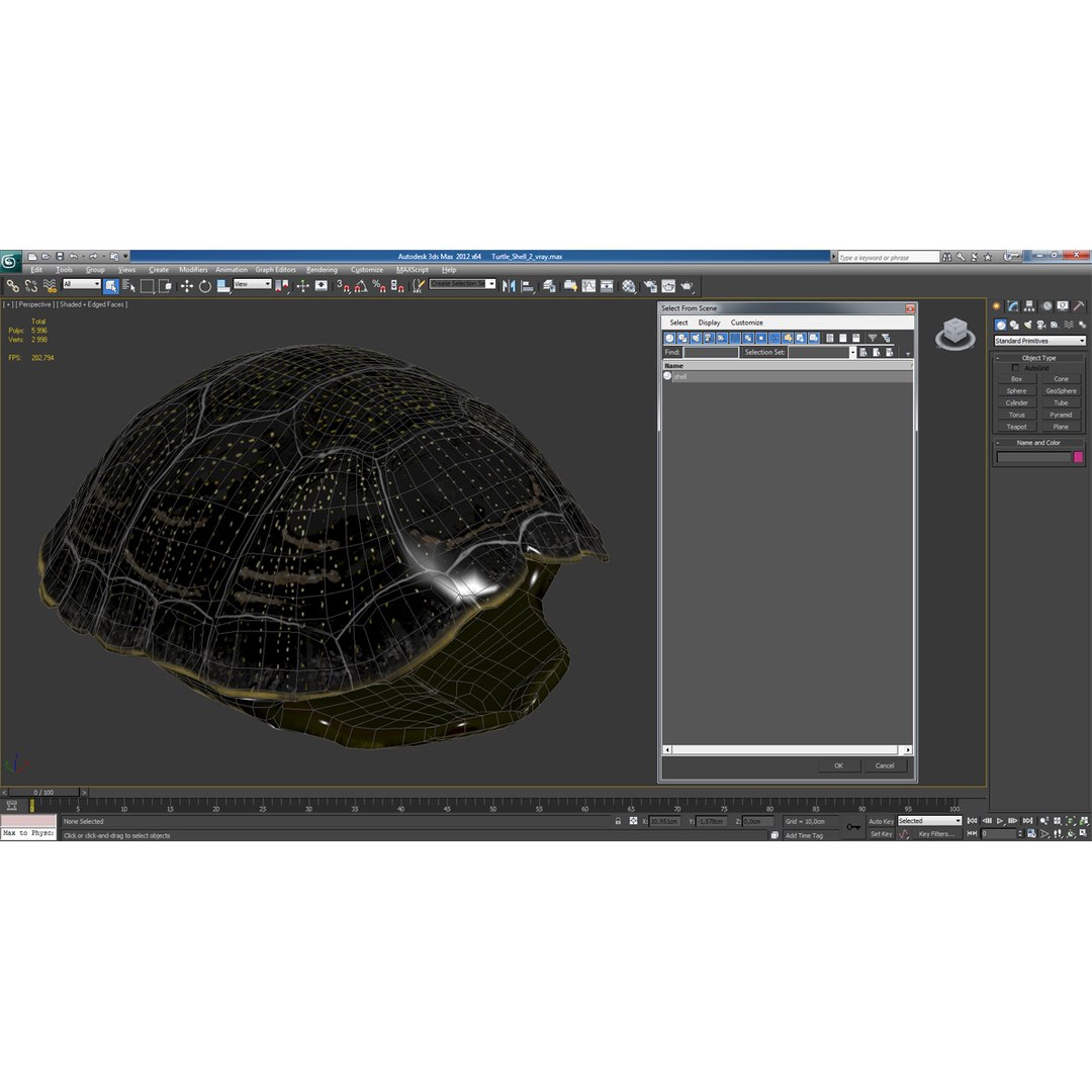 turtle shell 2 c4d https://p.turbosquid.com/ts-thumb/L8/fq1yWD/9w0HdSqo/turtleshell3dmodel22/jpg/1458994209/1920x1080/fit_q87/42a7d4c1987f608b07fe7cdd8b46a68ad900b00a/turtleshell3dmodel22.jpg