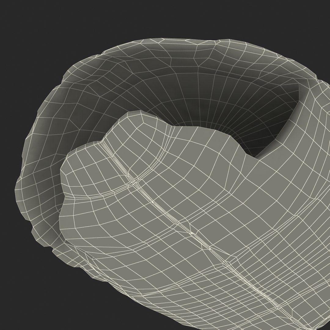 turtle shell 2 c4d https://p.turbosquid.com/ts-thumb/L8/fq1yWD/CMd63C4U/turtleshell3dmodel28/jpg/1458994210/1920x1080/fit_q87/d4c8556dab81f27af80f91fb186c69808d55441a/turtleshell3dmodel28.jpg