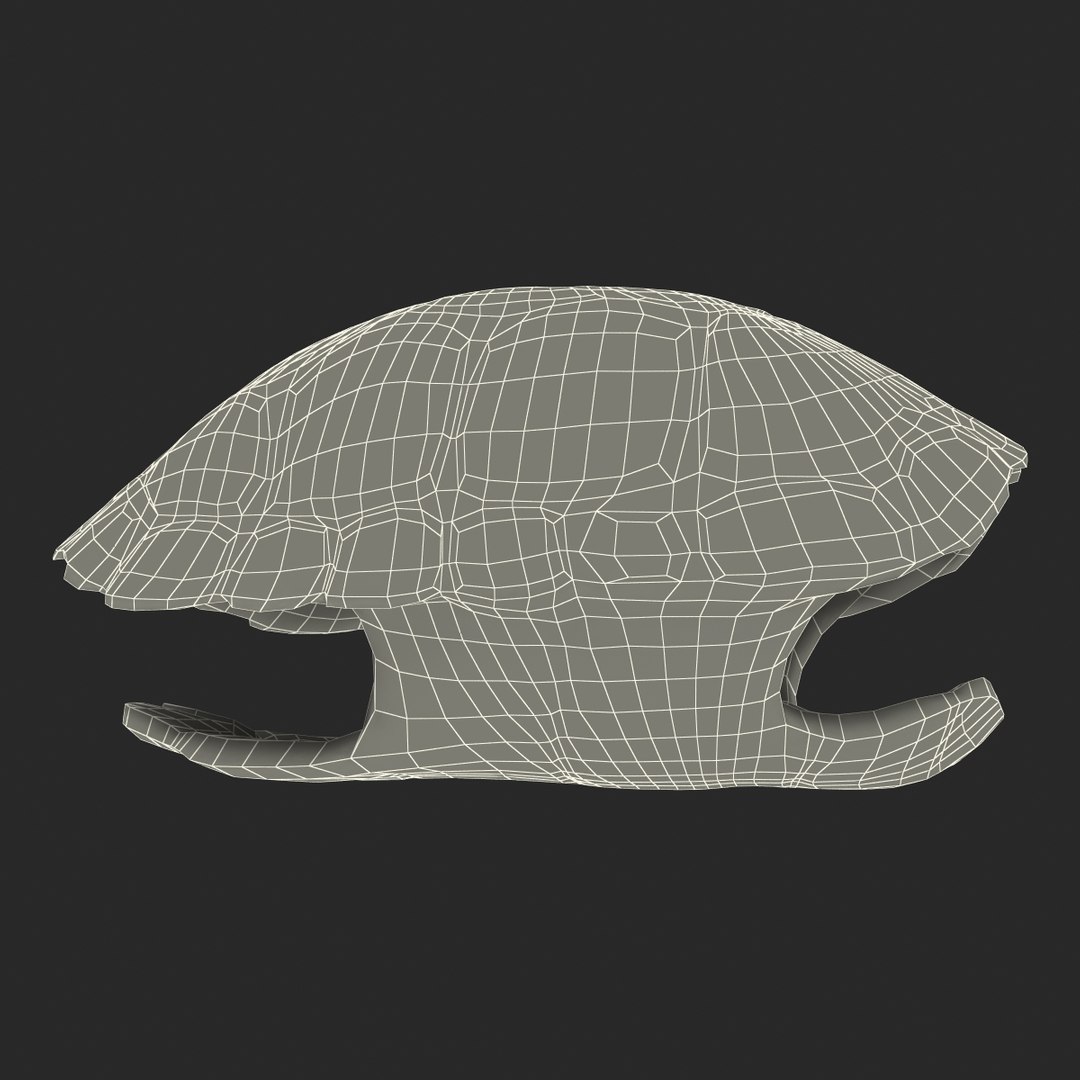 turtle shell 2 c4d https://p.turbosquid.com/ts-thumb/L8/fq1yWD/Ig2SkCiM/turtleshell3dmodel27/jpg/1458994210/1920x1080/fit_q87/89d43d1fcda7c389e7cc32e283da0ef97d5ef8ae/turtleshell3dmodel27.jpg