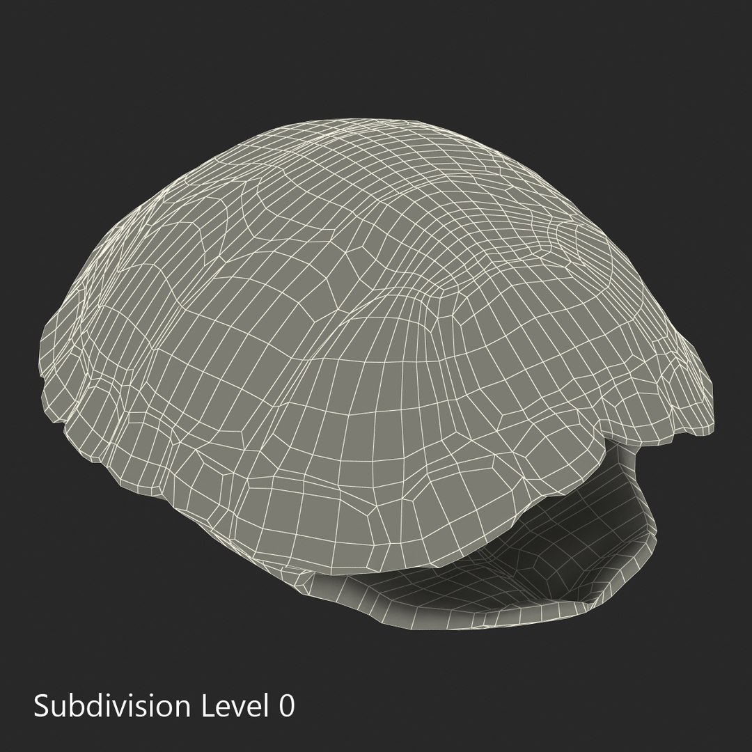 turtle shell 2 c4d https://p.turbosquid.com/ts-thumb/L8/fq1yWD/aB2vUcTw/turtleshell3dmodel18/jpg/1458994208/1920x1080/fit_q87/9ecf31cdedb5b1bd49cb483e07148a483d91e521/turtleshell3dmodel18.jpg