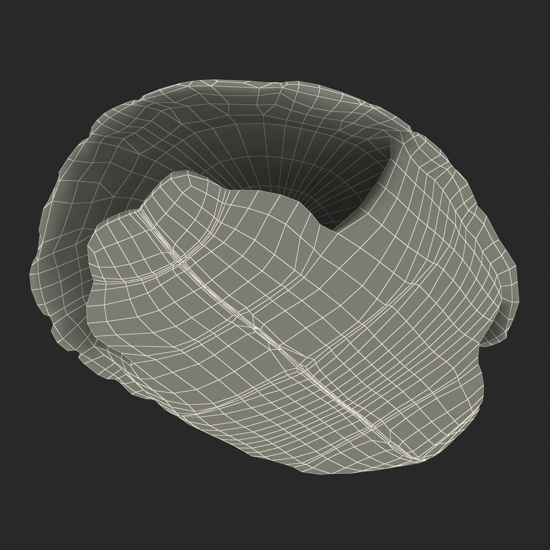 turtle shell 2 c4d https://p.turbosquid.com/ts-thumb/L8/fq1yWD/iOHVakXR/turtleshell3dmodel24/jpg/1458994209/1920x1080/fit_q87/87c8a9e9c4e13c937aecf6ddbd3249d0e2950636/turtleshell3dmodel24.jpg
