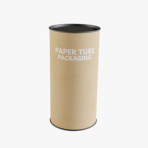 3D model Paper Tube 14