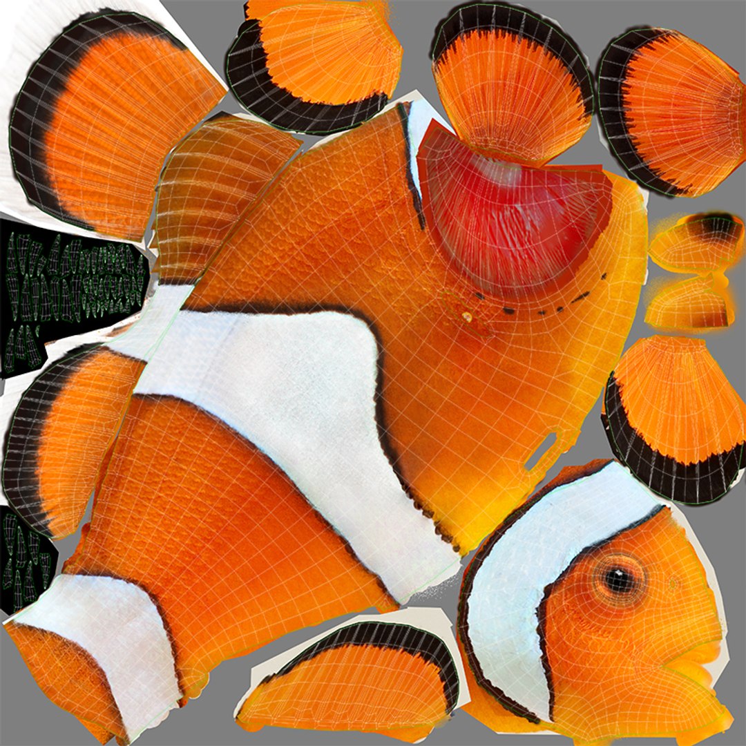 3D clownfish animation https://p.turbosquid.com/ts-thumb/L8/v2Rjsq/Ad890Rwx/21/jpg/1516706297/1920x1080/fit_q87/7e8497b25856a12ce5395e050cf3af5b4ec6b4f3/21.jpg