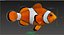 Clownfish (Animated)