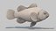 Clownfish (Animated)