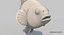 Clownfish (Animated)