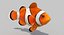 Clownfish (Animated)