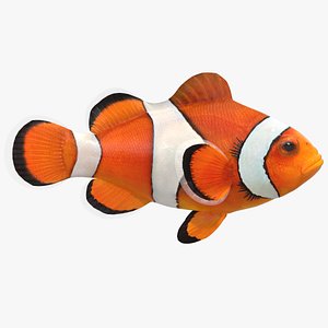 Clownfish (Animated)