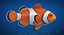 Clownfish (Animated)