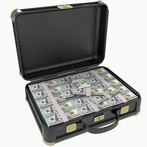 Suitcase With Money
