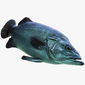 Deutschland Fische Rigged Animated