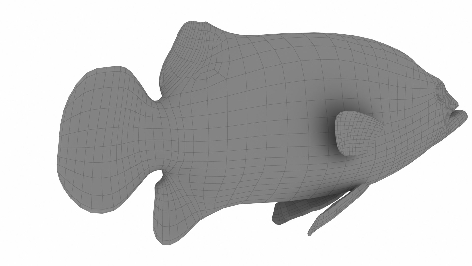 deutschland fische model https://p.turbosquid.com/ts-thumb/L9/FMJ7Wn/bI6cPM0I/w2/jpg/1576790417/1920x1080/fit_q87/b70205fca2d3303ade6b07ab1d59c7da71a10db5/w2.jpg