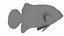 Deutschland Fische Rigged Animated