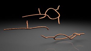 microscopic ebola virus 3ds