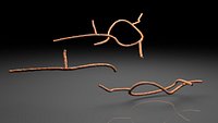 Microscopic Ebola Virus