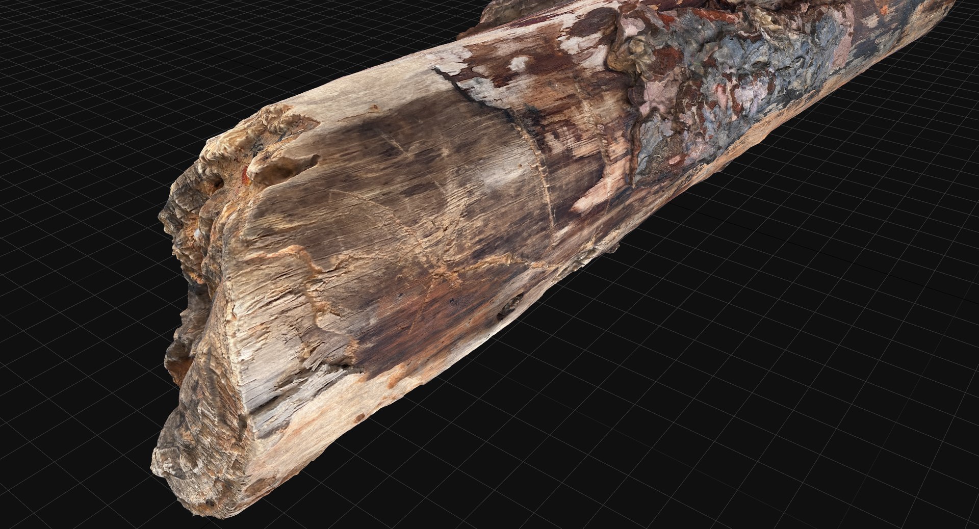 Real World Tree Trunk 3d Scan In Highpoly 3D - TurboSquid 2225327