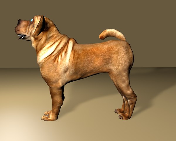 犬3dモデル Turbosquid