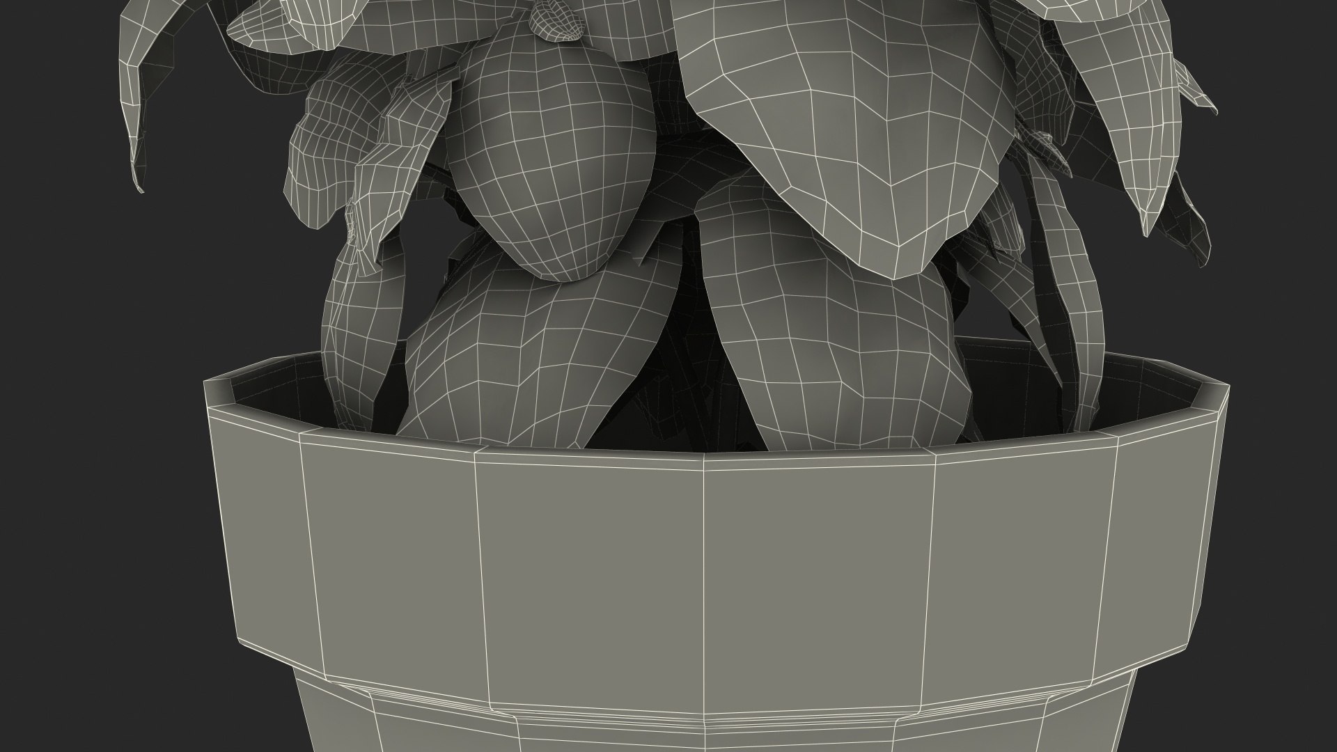 3D fresh basil herb pot model https://p.turbosquid.com/ts-thumb/L9/Mr1D3q/20aCVWM7/freshbasilherbinapotc4dmodel021/jpg/1583403952/1920x1080/fit_q87/691c87c280b138b4f8012e4b4aa8b57492b5432f/freshbasilherbinapotc4dmodel021.jpg
