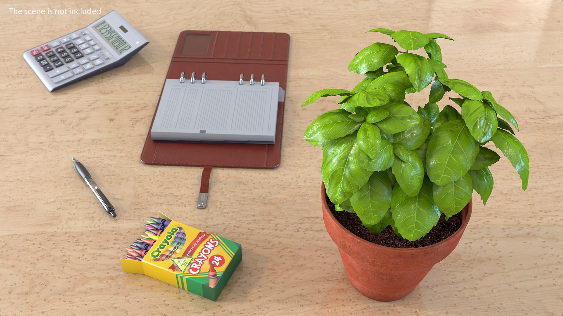 3D fresh basil herb pot model https://p.turbosquid.com/ts-thumb/L9/Mr1D3q/KdZrN7CO/freshbasilherbinapotc4dmodel003/jpg/1583403894/1920x1080/fit_q87/ac7a7a3929ceca5149b4b76ac1f648c431852138/freshbasilherbinapotc4dmodel003.jpg
