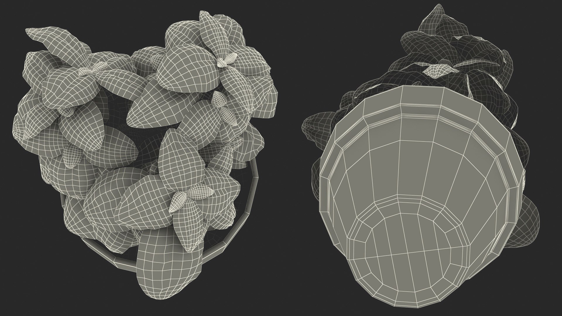 3D fresh basil herb pot model https://p.turbosquid.com/ts-thumb/L9/Mr1D3q/TVVNqvPI/freshbasilherbinapotc4dmodel019/jpg/1583403945/1920x1080/fit_q87/28c52d32310b2ebccfa9850ab9671e46d17f9082/freshbasilherbinapotc4dmodel019.jpg