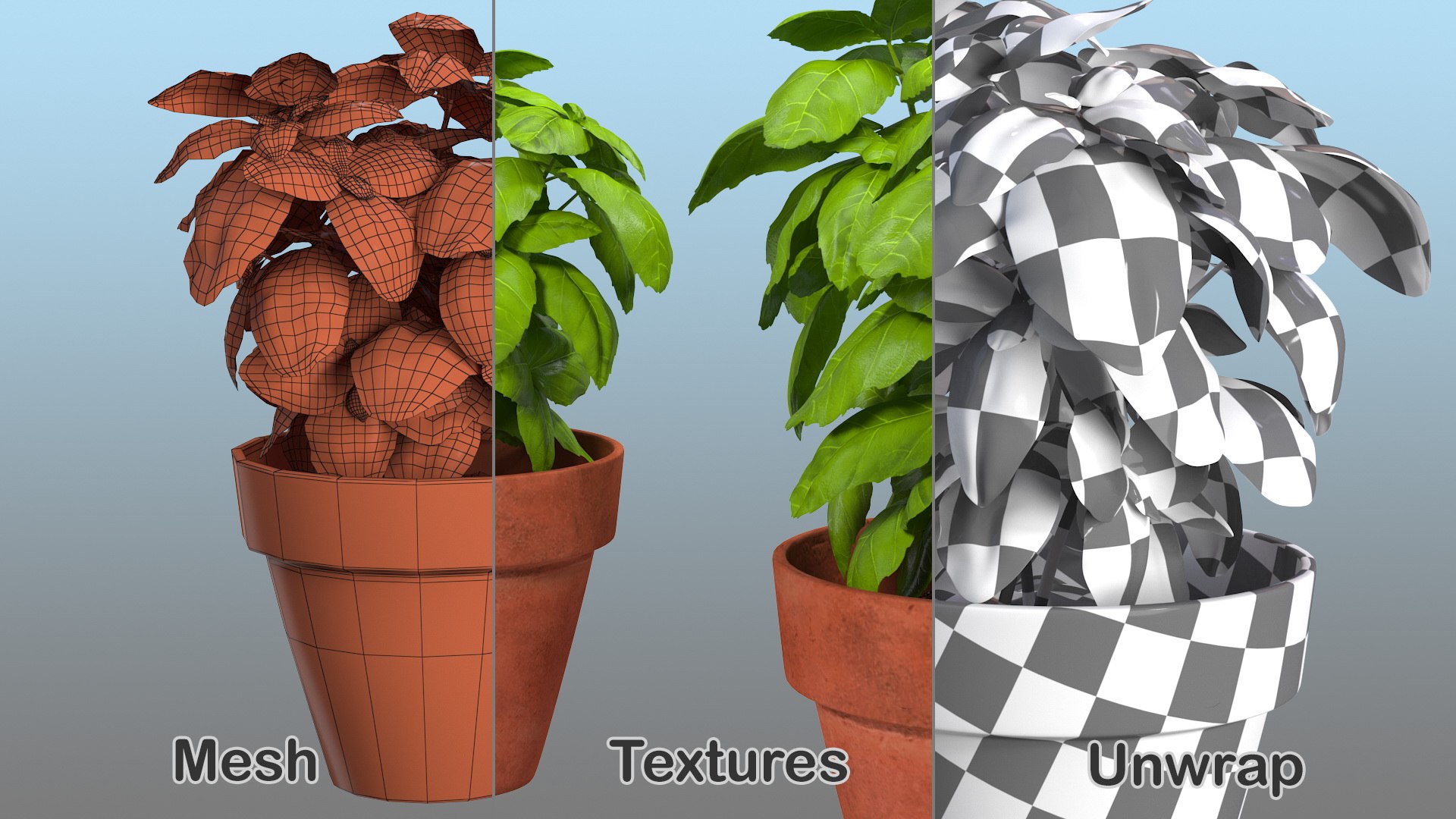 3D fresh basil herb pot model https://p.turbosquid.com/ts-thumb/L9/Mr1D3q/yTj3Cova/freshbasilherbinapotc4dmodel011/jpg/1583403920/1920x1080/fit_q87/3348c007e069fa914361a8a70a23b9b78b0fee45/freshbasilherbinapotc4dmodel011.jpg