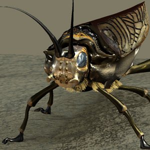 insects 3d obj