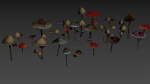 3D model fungi