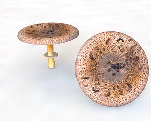 3D mushroom
