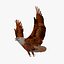 golden eagle flapping wings c4d