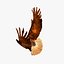 golden eagle flapping wings c4d