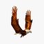 golden eagle flapping wings c4d