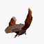 golden eagle flapping wings c4d