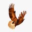 golden eagle flapping wings c4d