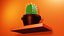 Ornamental Cactus Plants