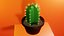 Ornamental Cactus Plants
