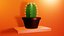 Ornamental Cactus Plants