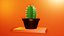 Ornamental Cactus Plants